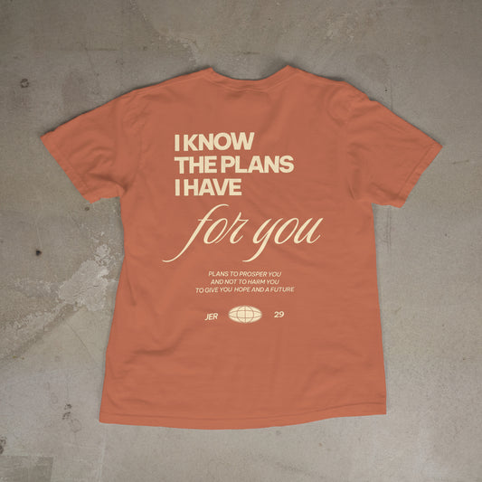 Jeremiah 29